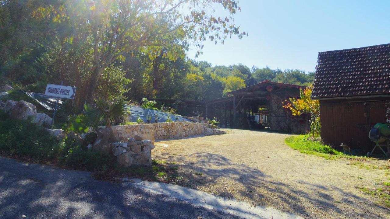 Bed and Breakfast Zen Domme Exterior foto